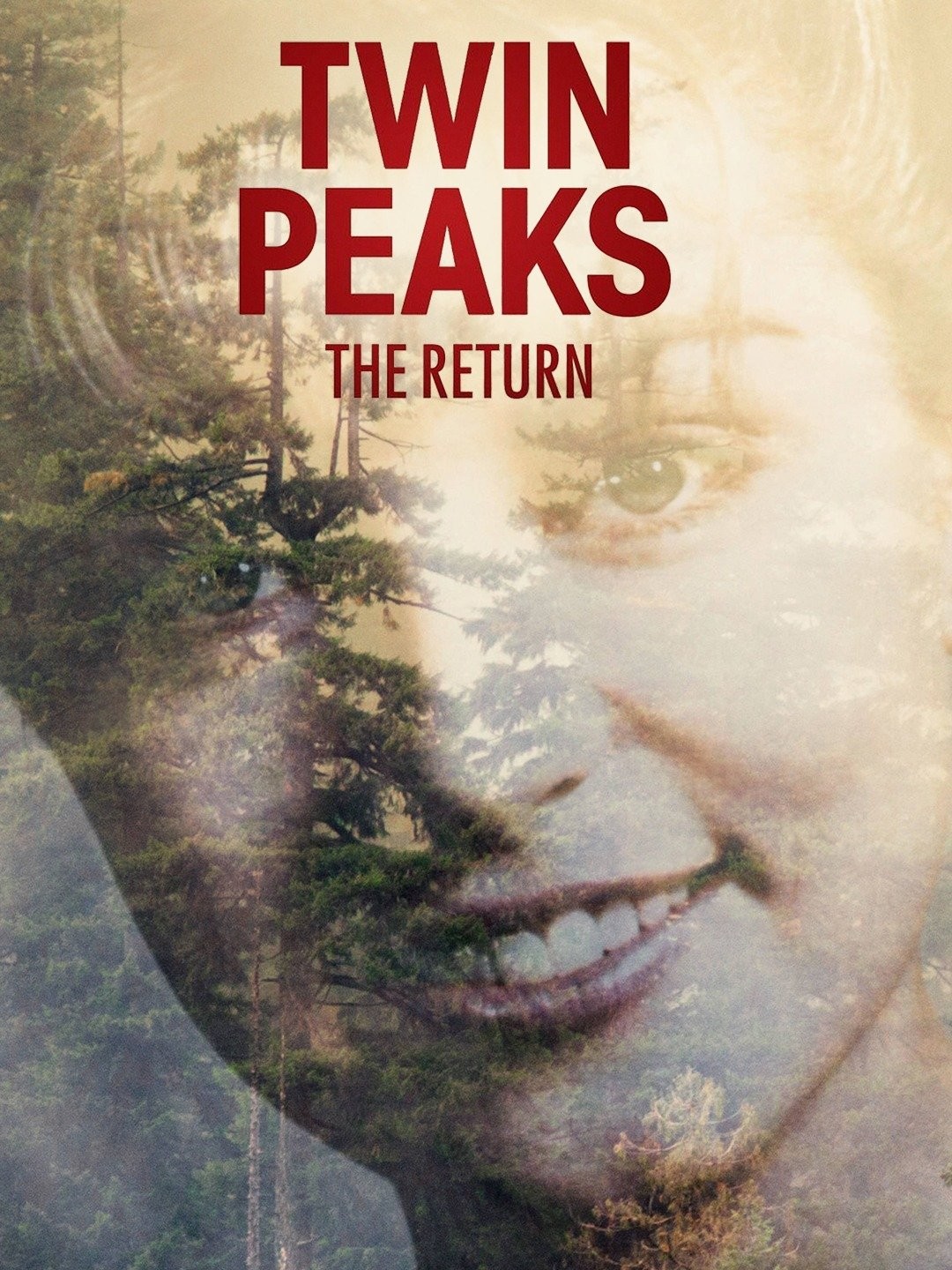 Twin Peaks: The Return poster